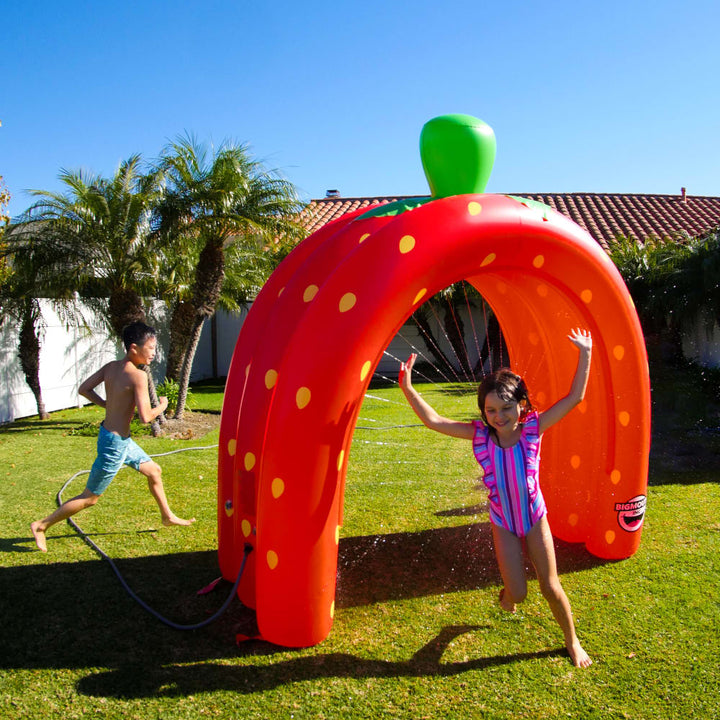 Strawberry Tunnel Sprinkler-3 Arch